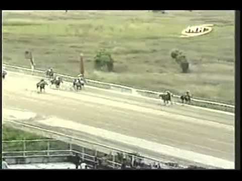 Resumen Viernes, 17 de Enero de 2014 - Valencia