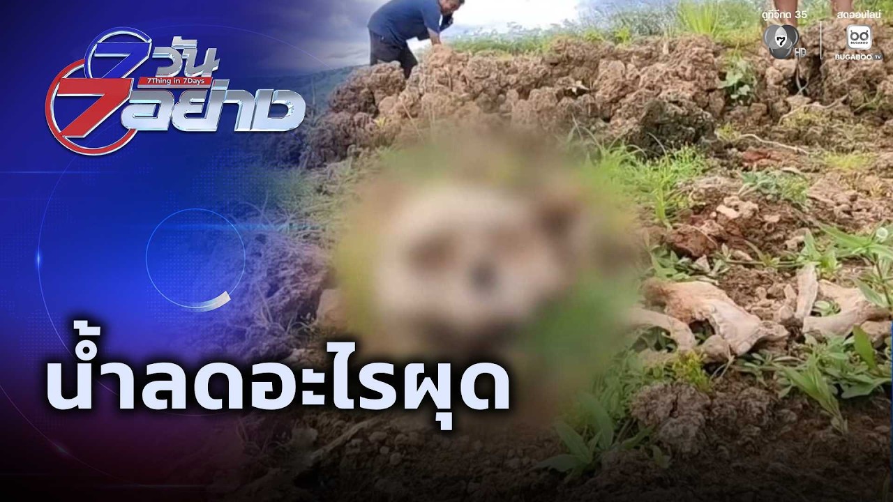 น้ำลดอะไรผุด | 7 วัน 7 อย่าง