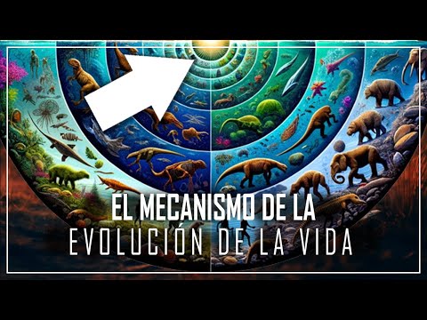 La increíble historia del mecanismo del origen de la evolución de la vida | DOCUMENTAL 2024