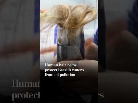 Human hair helps protect Brazil's waters from oil pollution