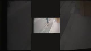 Download lagu Video lucu KOWE TAK SAYANG SAYANG | STORY WA #shorts mp3 Download lagu Video lucu KOWE TAK SAYANG SAYANG | STORY WA #shorts mp3