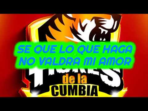 LOS TIGRES DE LA CUMBIA MIX ESTANIS.