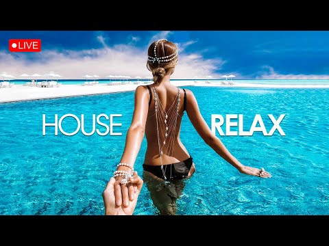 Morning Music ☀️ Music for an active and happy work day ☀️ Music to lift your spirits 2025