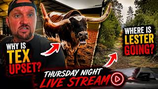 Thursday Night LIVE