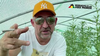 Whitecat - Run Run [Official Video 2022]