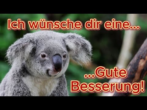 Gute Besserung 🍀Genesungswünsche🍀