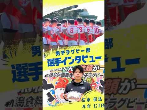 【男子ラグビー部インタビュー】第3弾　#大学ラグビー　#新潟食料農業大学