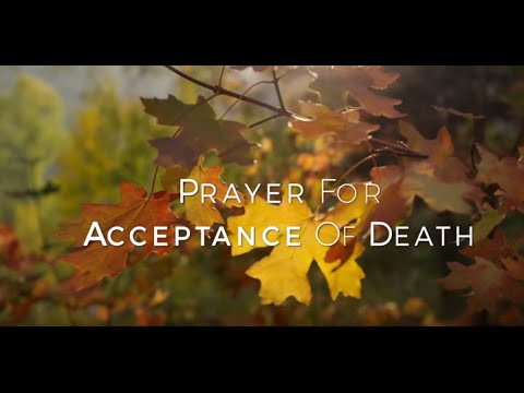 Click to Watch the Catholic community mourns death of Arizona priest in car crash   video Click to Watch the Catholic community mourns death of Arizona priest in car crash   video