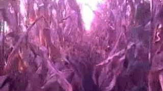 DAKOTA SUITE - Hands swollen with Grace