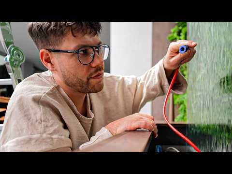 PROBLEMS IN OUR HOUSE...