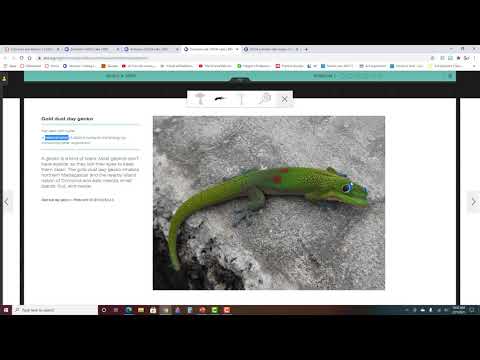 Evolution Lab Mission 1