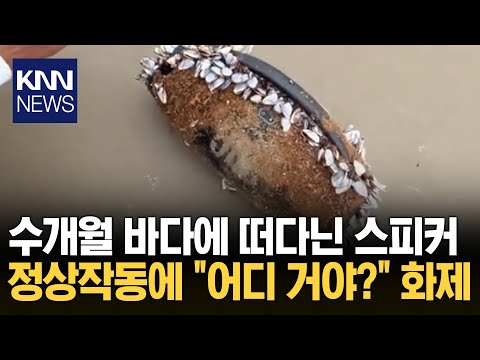 "우연히 나온 최고의 광고" 바다서 살아난 스피커 '깜짝'