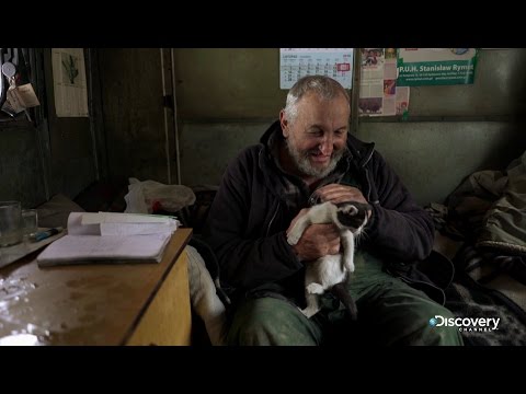 Bieszczady Stop | Where the devil says goodnight... | Discovery Channel