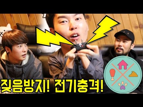 아이콘
