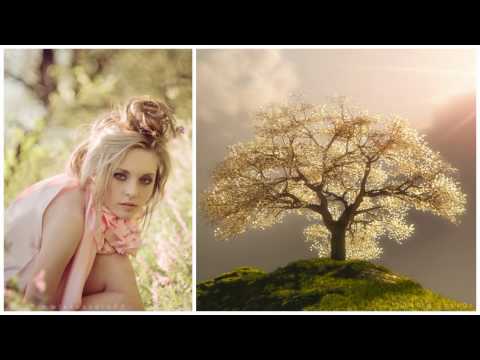 Mike Foyle pres Statica - Sundown ♪♫♪♫