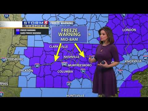 Bree's Evening Forecast: Friday, April 7, 2017