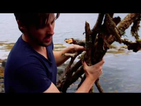 Scallop Diving off the Isle of Mull