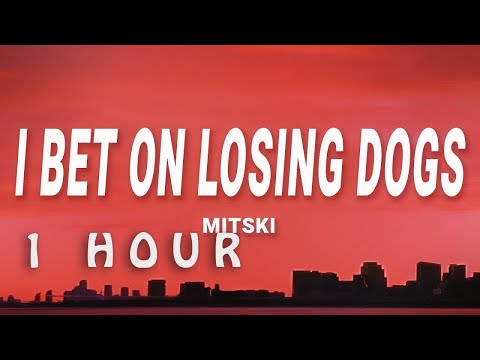 Mitski - I Bet on Losing Dogs (Lyrics) | 1 hour