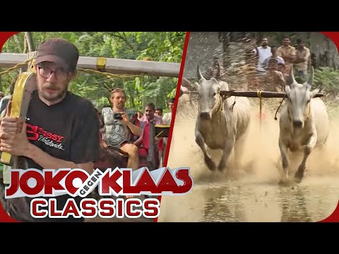 Bull surfing: Schmitti & Klaas suffer in India | Duel Around the World Classics | ProSieben
