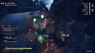 【ワイルドハーツ】テスト配信