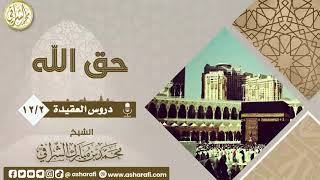دروس في العقيدة (١٢/٢) حق الله عز وجل image