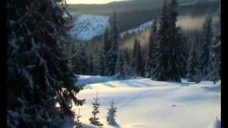 preview picture of video 'Лыжный поход 3 к.с. Карпаты. часть 2.Karpatian ski expedition.wmv'