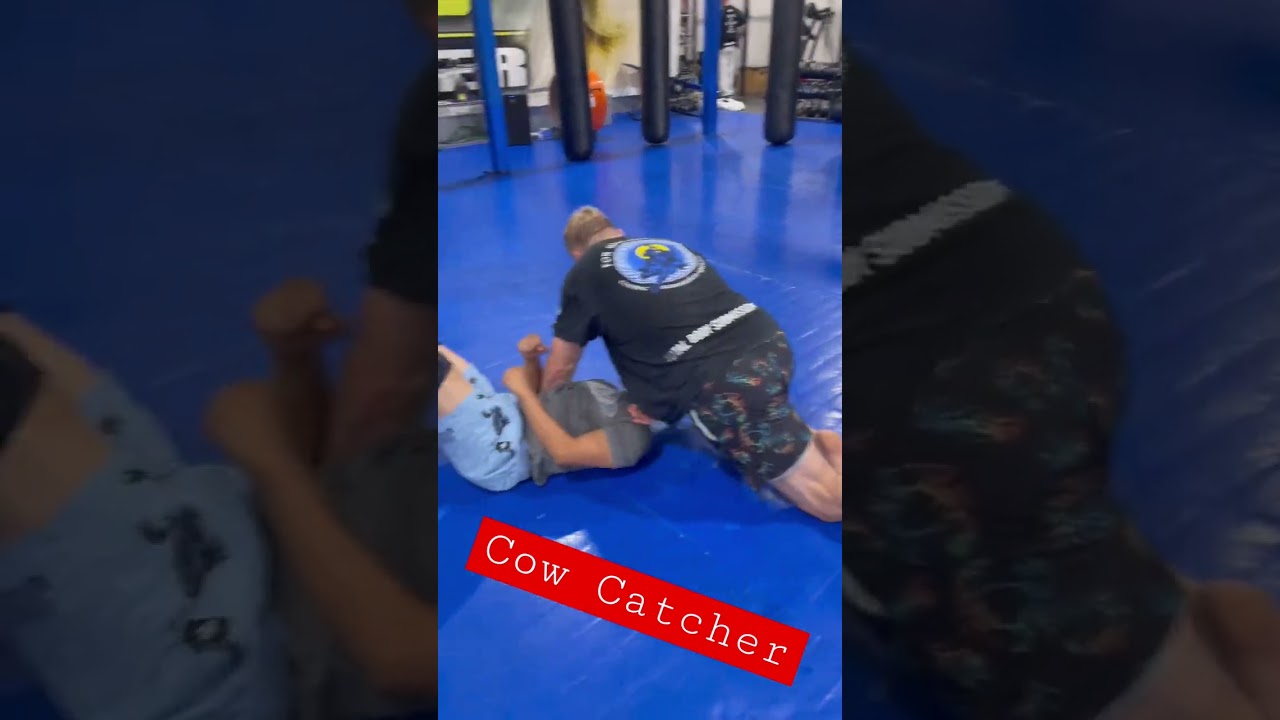 Cattle Catch (from Turtle)