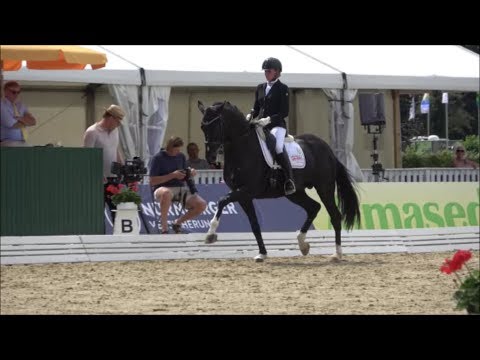 Dancier Gold von Dancier - Weltmeyer (Verden Championat 2018)