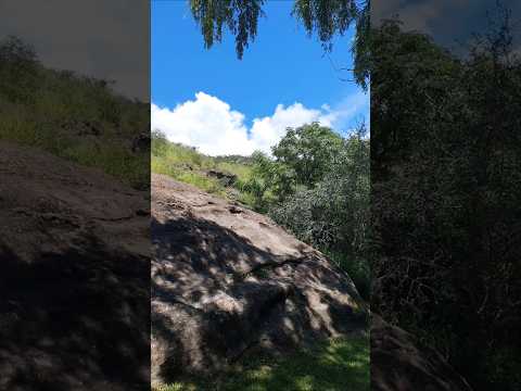 Piedra y camino... #biodiversidad