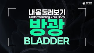 <b>방광</b> 미리보기 썸네일