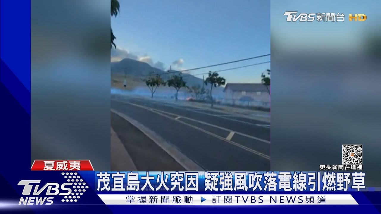 電線被風吹落引燃野草茂宜島民大火前直播　恐留野火證據