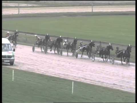 Duinigt Zilveren Stakes_Your Love Lois