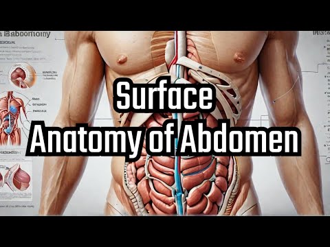 2. Surface Anatomy of Abdomen : MBBS Lecture