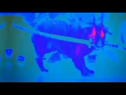 ESQUIZOCypher (BASS BOASTED)