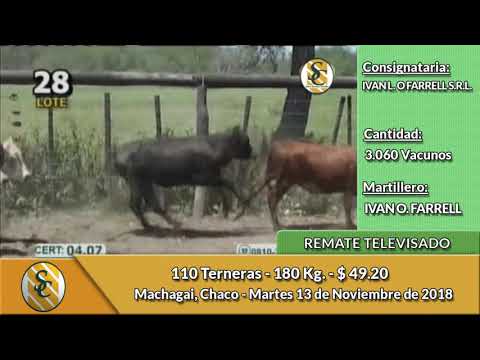 13-11-18 - Remate Televisado de Ivan L.  O Farrell - Chaco