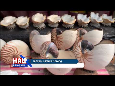 Inovasi Limbah Kerang