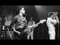 Wire- Ex Lion Tamer
