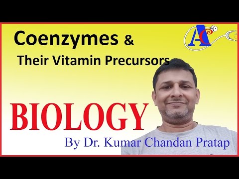 Enzyme Cofactors : Coenzymes & Their Vitamin Precursors