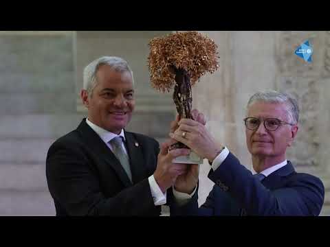 EYOF Maribor 2023 - Flame of Peace Lighting Ceremony