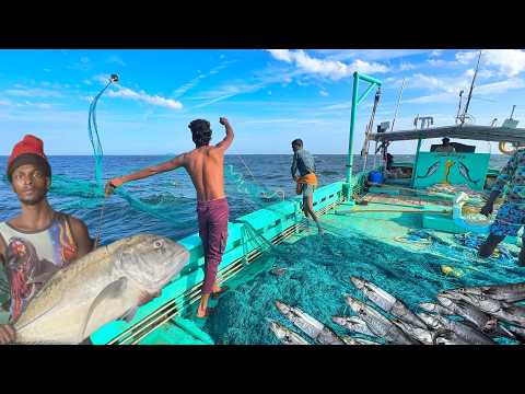 Ohh❗5 Days of Fishing Adventure 🤩 Full Capture 💢 Deadliest catch | Compilation video 