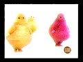 Boohbah Two Hats Lost US Version WGBH