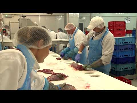 Darz Bór zapowiedź odcinka 296