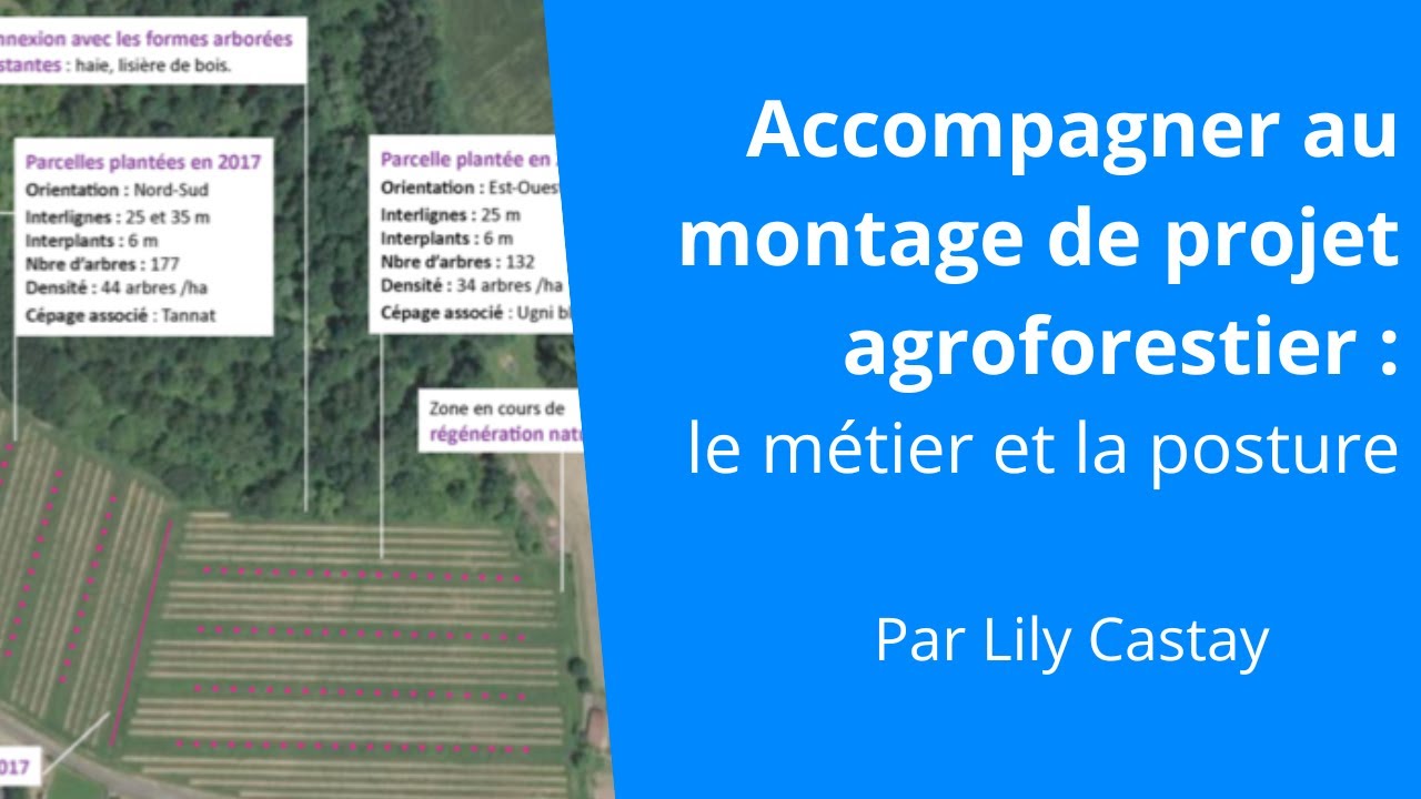 Accompagner au montage de projet agroforestier, Lily Castay