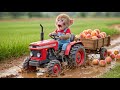 Monkey Nana Drives Tractor With Peaches Through Flood And Fixes The Road ️ ️ NANA MONKEY LIFE