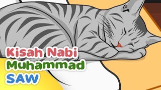 Download lagu Kisah Nabi Muhammad SAW Keistimewaan Muezza Kucing... mp3