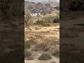 Ghazwa E Badar Ka Maqam Madina Islam Islamic New Viral Pakistan