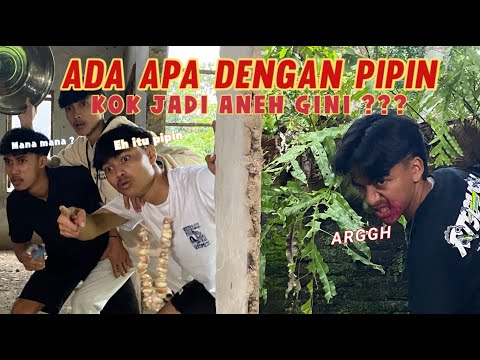 WHAT REALLY HAPPENED!! Pipin ate livestock.