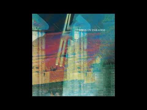 Birds Ov Paradise - Klintens väg [KON010]
