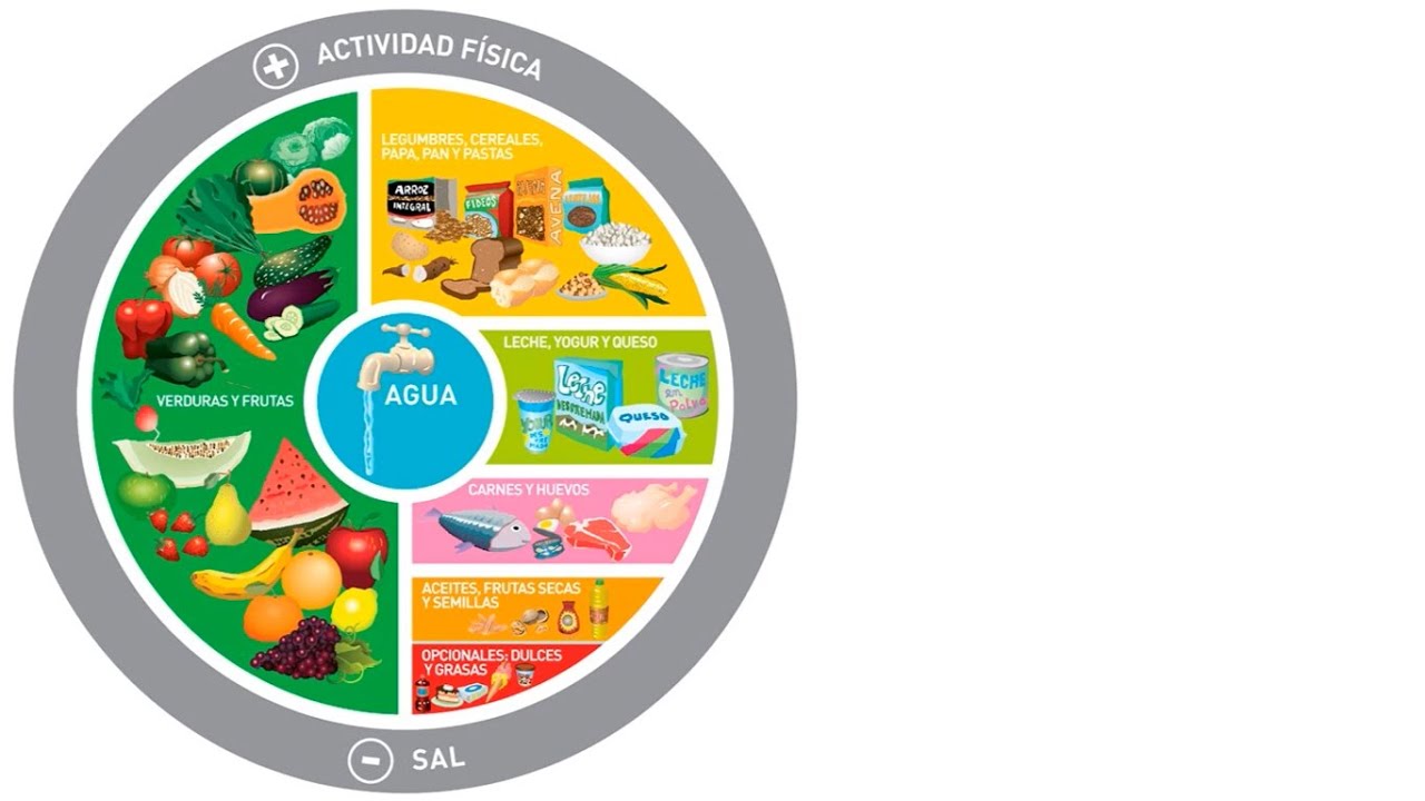 Gráfica de la Alimentación Diaria para la Población Argentina