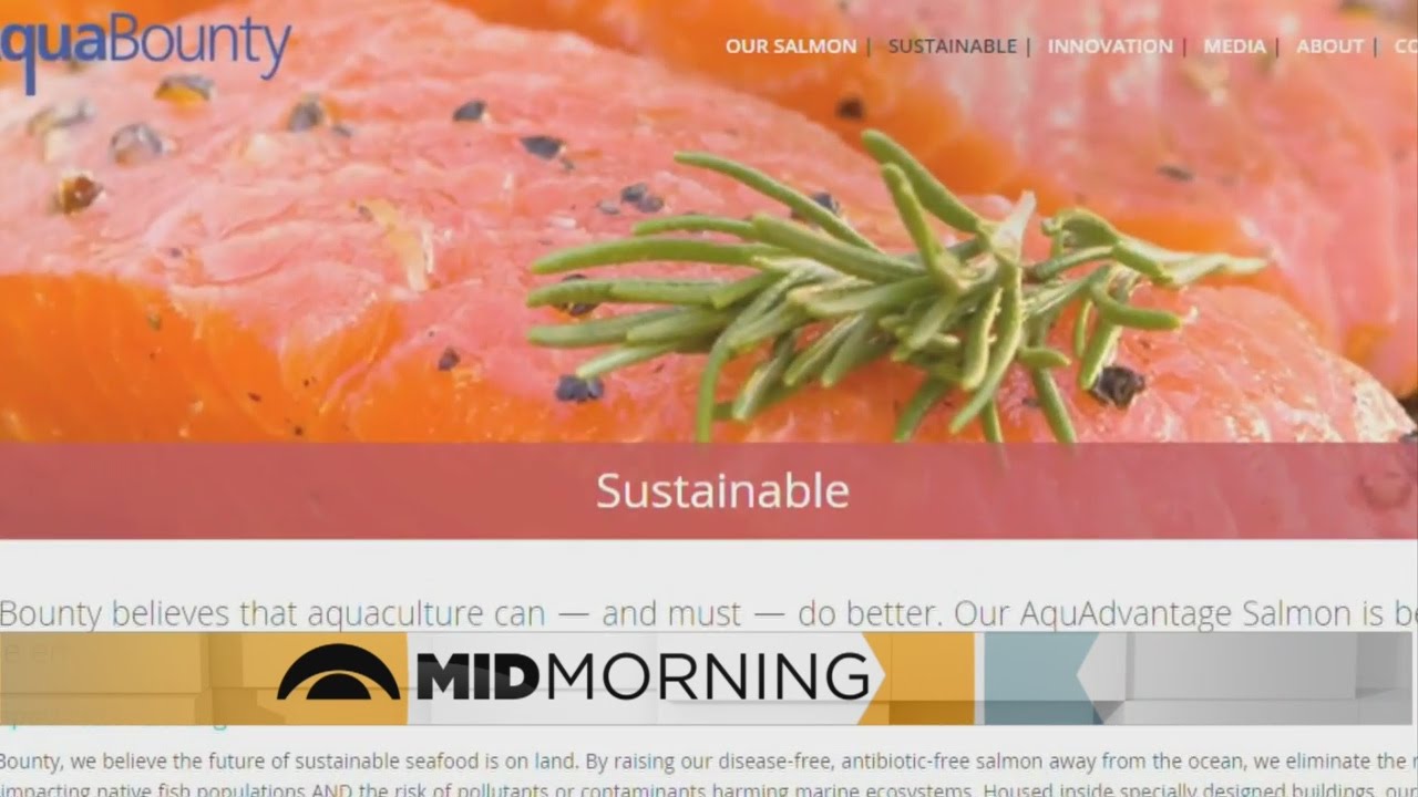 Mid-Morning Panel: FDA Approves OKs Genetically-Modified Salmon